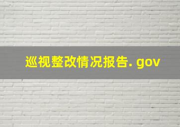 巡视整改情况报告. gov